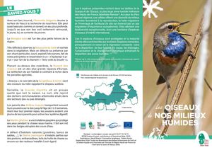 Oiseaux des milieux humides de Scarpe-Escaut