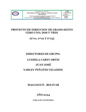 Proyecto De Direccion De Grupo 2024