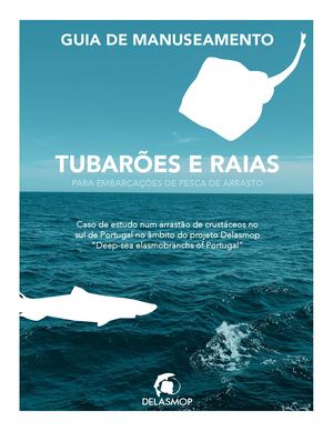 Guia de manuseamento de tubarões e raias de profundidade