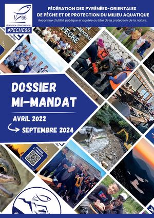 Dossier De Mi-Mandat Fdppma66