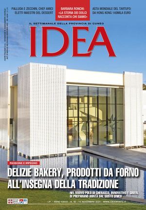 RIVISTA IDEA - 14 NOVEMBRE 2024