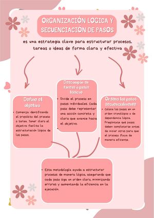 Organización logica y secuenciación de pasos