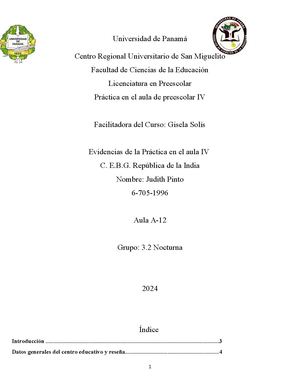 Informe De Práctica En El Aula Iv