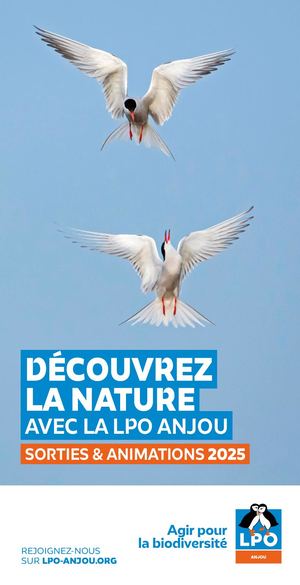 Guide des sorties 2025 | LPO Anjou