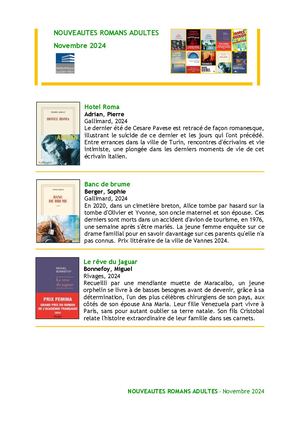 Nouveautés romans novembre 2024