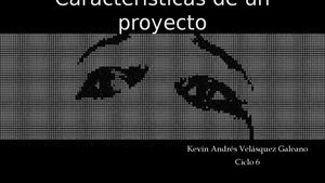 Características De Un Proyecto