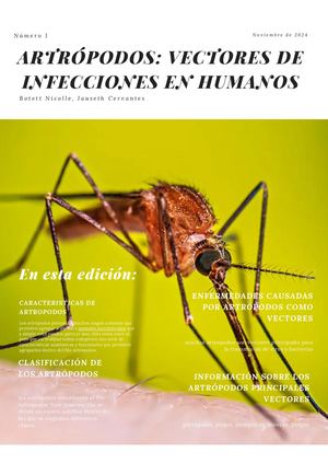 Artrópodos: vectores de infecciones en humanos