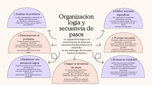 Organización lógica y secuencia de pasos