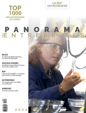 Panorama 45 2024