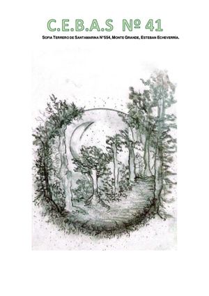 Revista Cebas Nº 41 2024