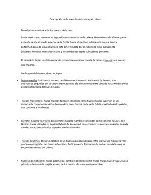 Descripción De La Anomia De La Cara Y El Cráneo