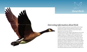 Bird Booklet Test For Flipbook