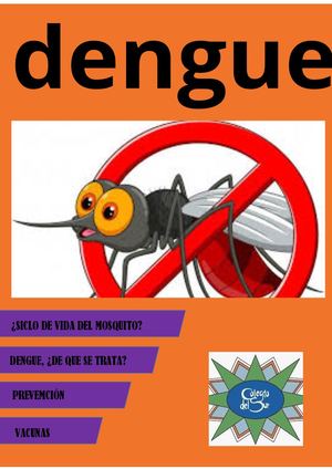 Dengue, todo lo que tenes que saber