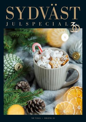 Villabladet Sydvast Nr7