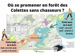 Chasse Foret Des Colettes