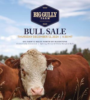 Big Gully Farm Bull Sale 2024