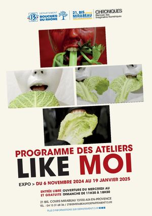 Like Moi - Programme des ateliers