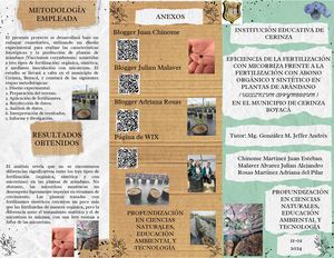 Folleto Tríptico Comida Doodle Orgánico Verde 20241120 230815 0000