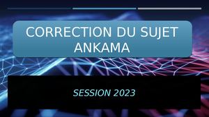 Correction Du Sujet Ankama