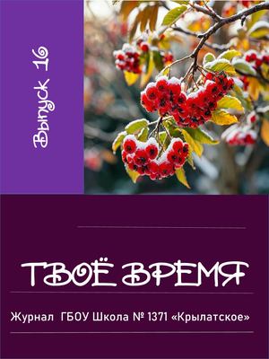 ТВОЁ ВРЕМЯ НОЯБРЬ 2024