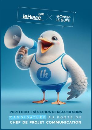 Sélection Portfolio Ronan Le Duff Candidature VDH