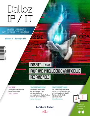 Dalloz Ip It_11 2024