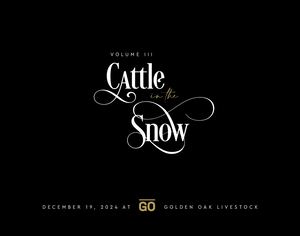 2024 Cattle In the Snow