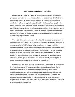 Texto Argumentativo De La Problematica (1)