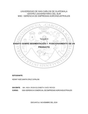 Tarea #8 Ensayo Sobre Segmentación Y Posicionamiento De Un Producto