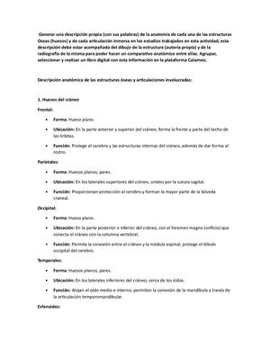 taller de anatomiaradiologica