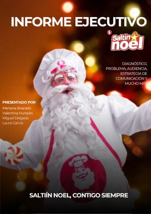 INFORME EJECUTIVO NOEL