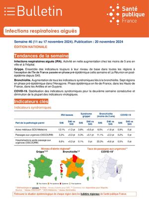 Bullnat Ira 20241120