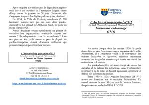 AMFAR A15 532 Marronnier endommagé 1934