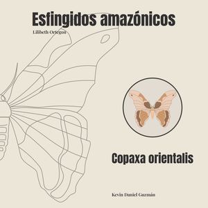 Lilibeth Ortegon