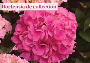 Catalogue Printemps - Collections 2025 Partie 3