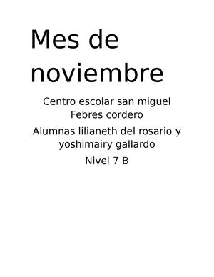 Noviembre Alocado