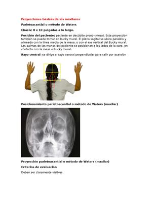 Proyecciones Basicas Maxilares