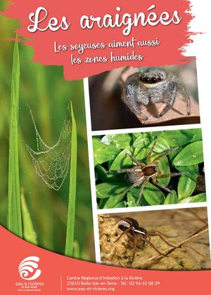 Livret | Les Araignées