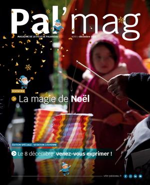 PAL'MAG 293 - Décembre 2024