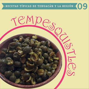 09. Tempesquistles