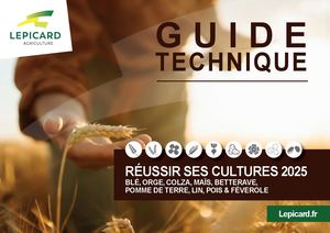 2024 10 Guide Matiere Culture 2025