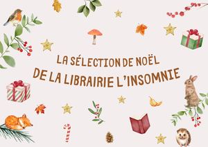 La Sélection De Noël 2024 De La Librairie L’insomnie