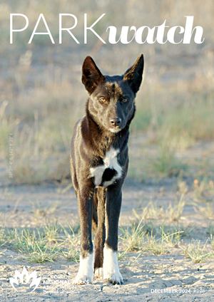 Park Watch Dec 2024 #298