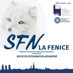 SFN La Fenice Numero 16