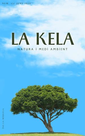 Revista La Kela 1r Trimestre 24-25