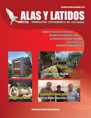 Especial Alas Y Latidos Dic 2024