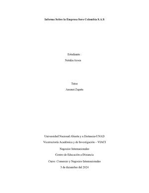 Informe Sobre La Empresa Sero Colombia Sas