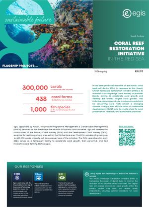 Coral Reef Restauration Initiative In The Red Sea