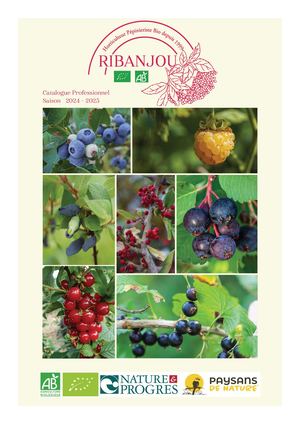 Catalogue 2024 2025 Du 1811