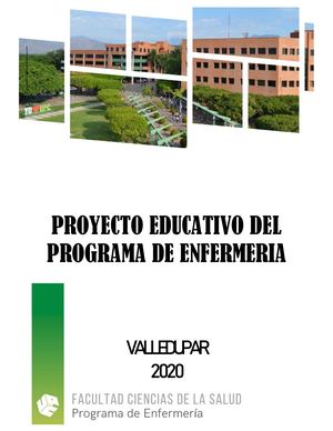 Anexo 04 Proyecto Educativo Del Programa De Enfermería
